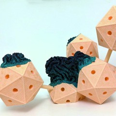 SYMBIOSIUM_Audioguide : Jérémy Gobé - CCA1  Brevet N°3