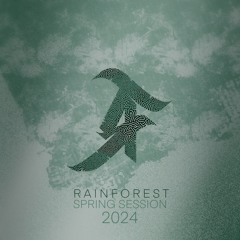 Rainforest - Spring Session 2024