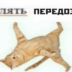 Пашка Катлаван - ІНТРО