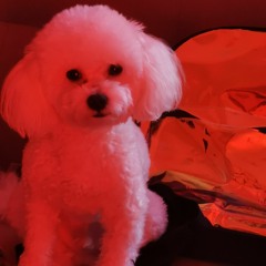 Sara Castro presenta Minitecas Originales DJ Set