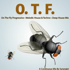 On The Fly • Progressive, Melodic House&Techno, Deep House set by Synergist