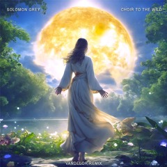 LTR Premiere: Solomon Grey - Choir To The Wild (Vandelor Remix)