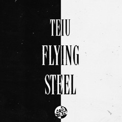 Flying Steel - Teiu (Caza Beats Records)