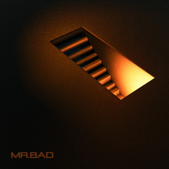 MR. BAD (feat. Woo)