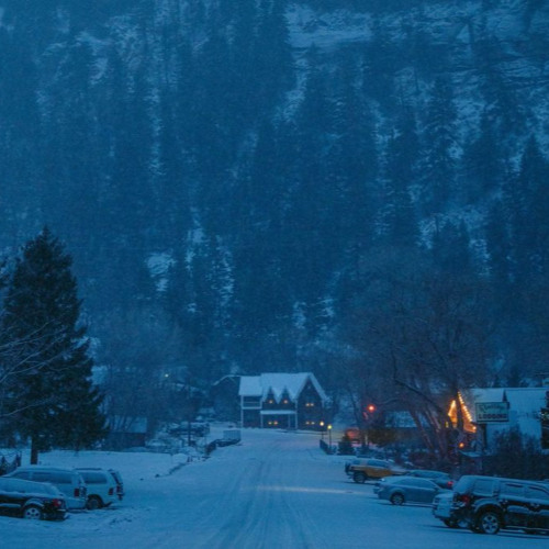 into the night w/ jacko