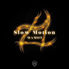 Slow Motion/ MAMOT