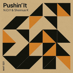 N.O.Y & Sheimus K - Pushin' It