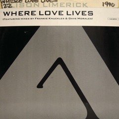 Where Love Lives (Come On In) (Sound Factory Mix)