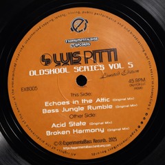 Luis Pitti - Echoes in the Attic (Original Mix)
