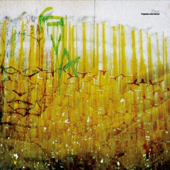 Flailing In The Wind, Aleph 0