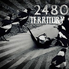 MAGPIE TERRITORY