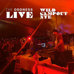 THE ODDNESS / LIVE @ WILD CAMPOUT / NYE
