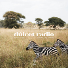 Dulcet Radio 029 w/ Taimles 16.07.25