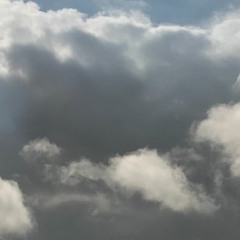 Ludo Xavier Lambert : " Les Routes se séparent"