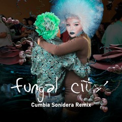Björk - Fungal City (Cumbia Sonidera Remix)