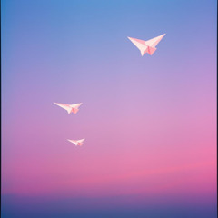 Wildz Dreams