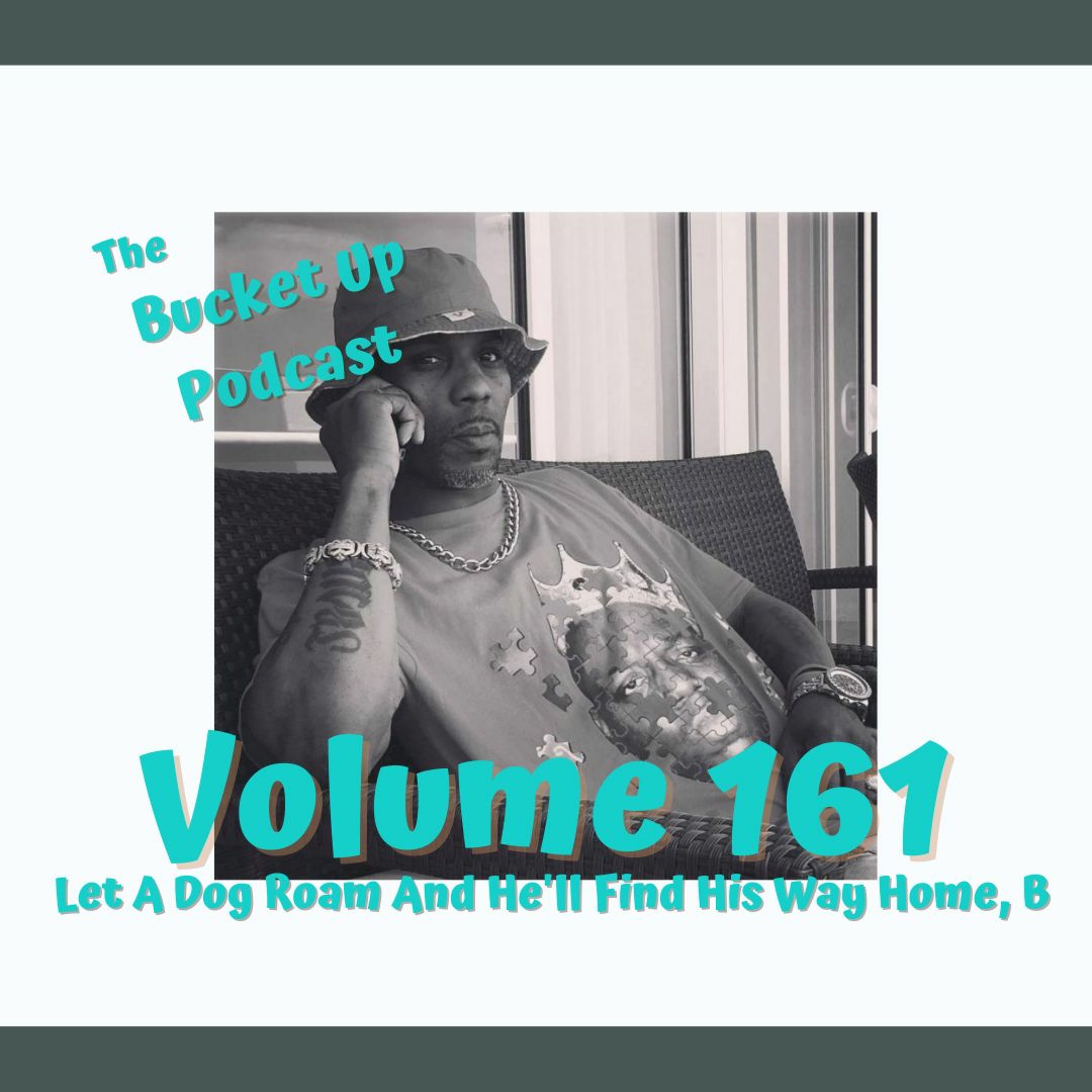 Volume 161: Let A Dog Roam And He'll Find His Way Home, B episode artwork