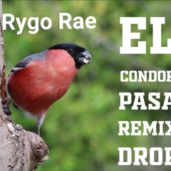 El Condor Pasa Remix Drop ( Rygo Rae )