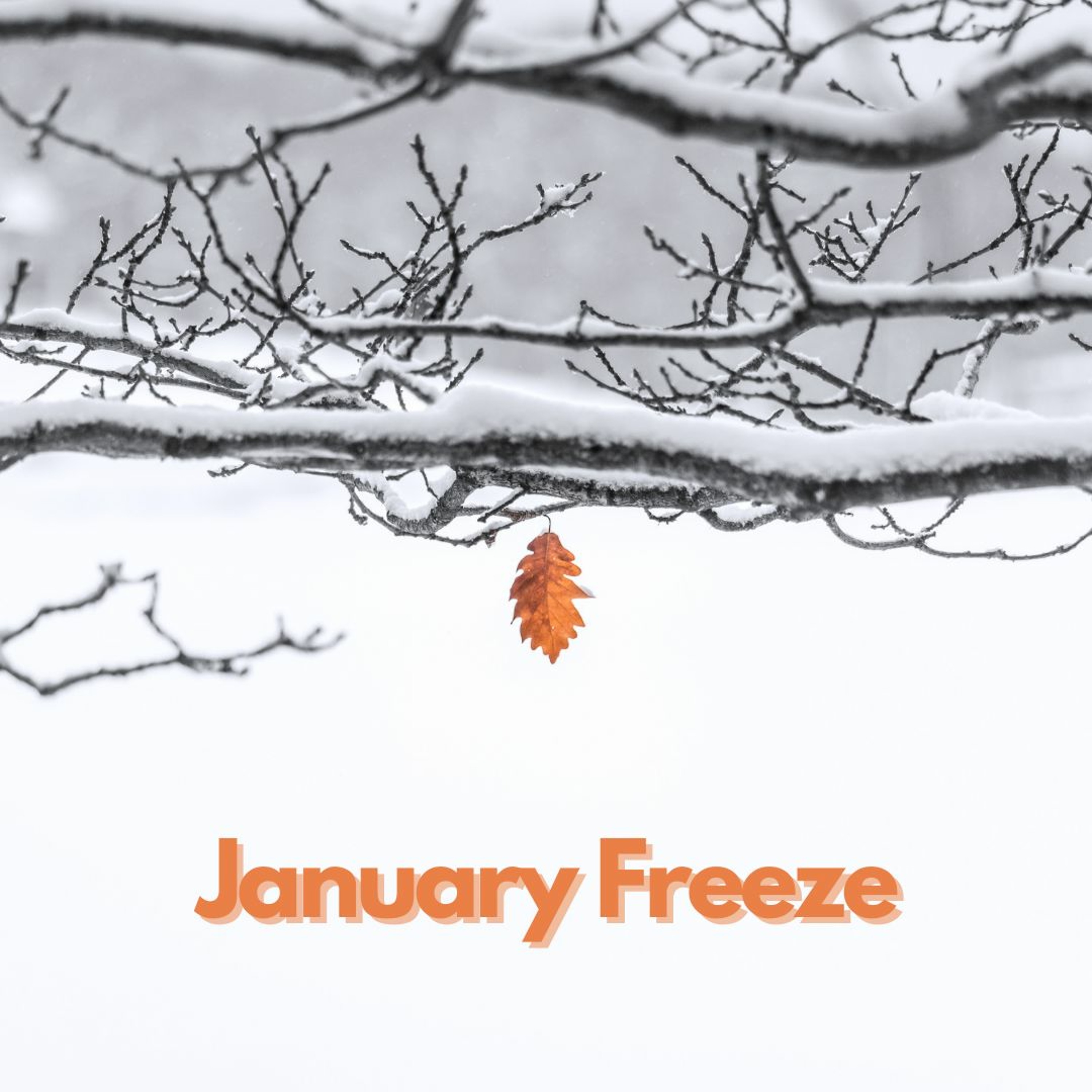January Freeze episode artwork