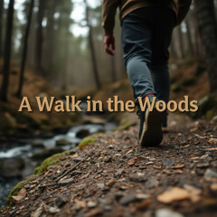 A Walk in the Woods