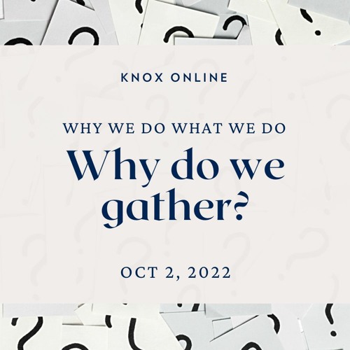 Stream knoxtoronto listen to why we do what we do playlist online for