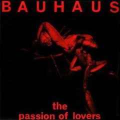 Passion Of Lovers