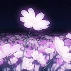 I don't wanna do this anymore (Slowed + Reverb)