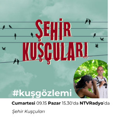 Şehir Kuşcuları - 40.Bölüm - Sıra dışı avcı kuşlar