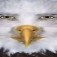 Ishuzoku Reviewers OST 01 - The Beginning