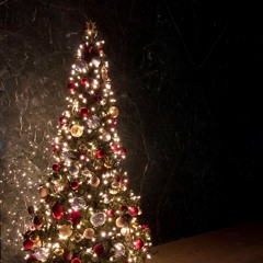 Wish Santa Cloaus were here