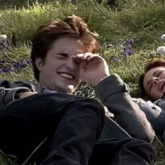 лсп-номера(speed)