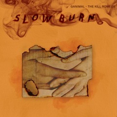 SLOW BURN