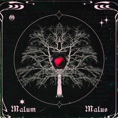 Malum Malus (Various Artists) Out Now