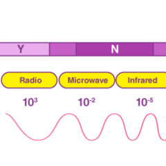 microwave_tagged_133