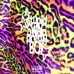 Stupid Swag Pretty Boy  (  nm Rem  )