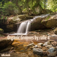 Organic Grooves by ralle 4