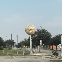 we found two dead swans... (Teen Suicide - Redux)