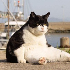 monatin-Кара`тоК