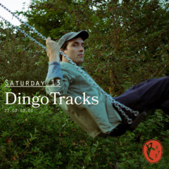 Rebel Disko with DingoTracks - 13.12.2025