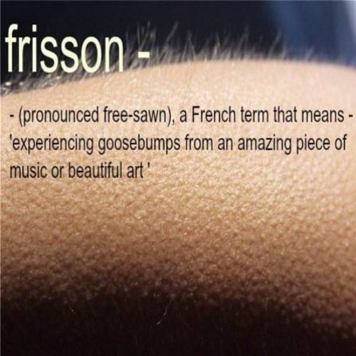 Frisson.04