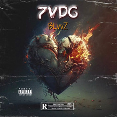 BLvvZ - 7VDG