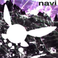 navi (avi x lesions x oyabe) 2023