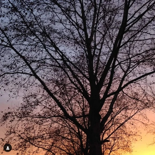 Clair Obscur #4 avec Liner Notes Soundcloud podcast image for