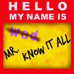 mr. knowitall - prod. @sur6ery