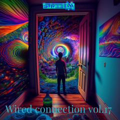 01 Wired Connection Vol.17