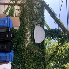 Stormed Out The Room NEW