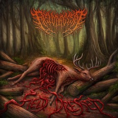 FIELD DRESSED - SELF-TITLED OFFICIAL EP STREAM 2023 SW EXCLUSIVE.mp3