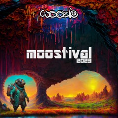 Woozle // at Moostival 2023 [01.07.23]