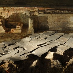 35 Обвалена підлога Аула Магна