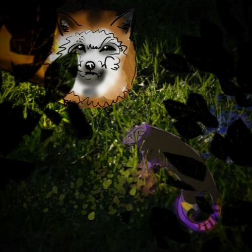 The Fox